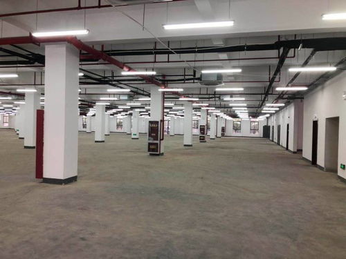 出租 100 5000平方廠房 倉庫 商務(wù)辦公場(chǎng)地